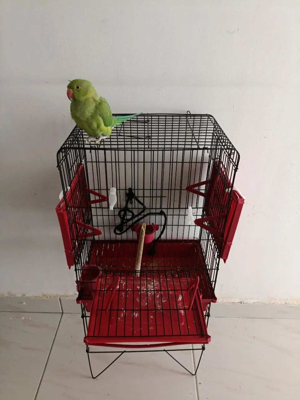 Vendo