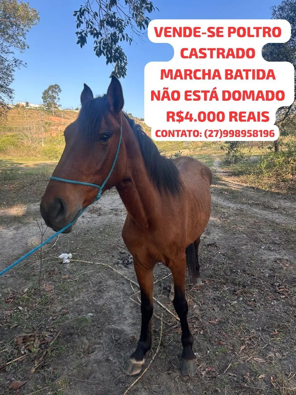 Vende-se Poltro 
