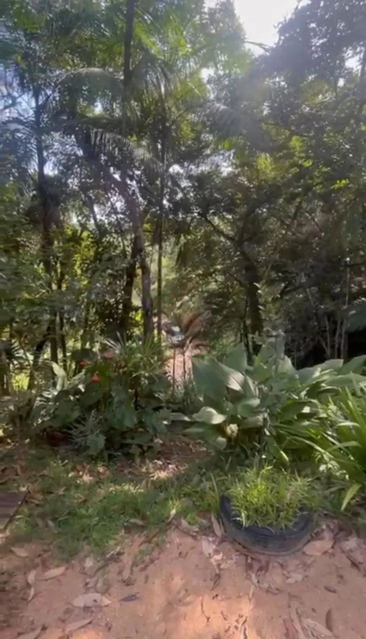 Sítio com água e luz, com casa de bloco, quitado - Foto 4