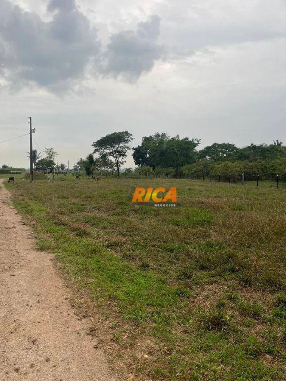Vende-se excelente sítio em Urupá-RO - Foto 3
