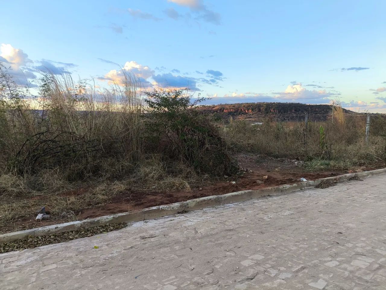 Terreno 10 x 30 m²  Belo Norte - Foto 4
