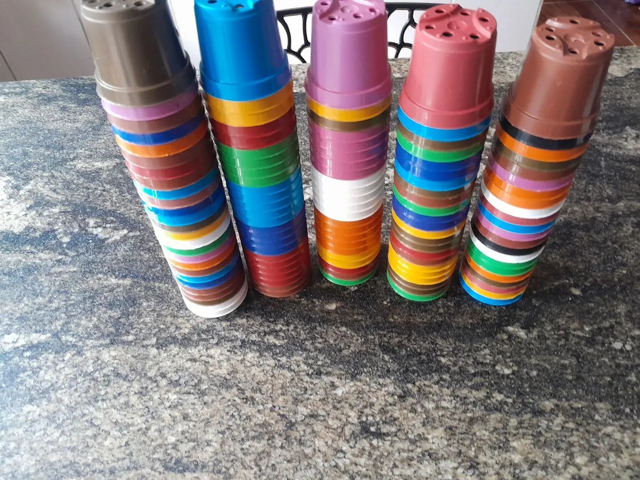 Vasos suculentas  - Foto 2
