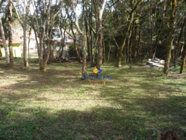 Terreno para venda em colombo no bairro são gabriel - Foto 8