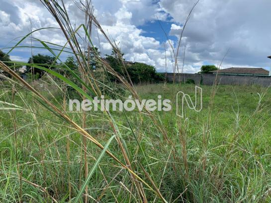 Loteamento/condomínio à venda em Jardim botânico, Brasília cod:783473 - Foto 10