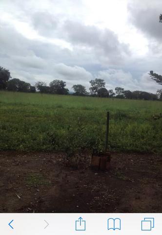 Sítio em MG - Foto 10