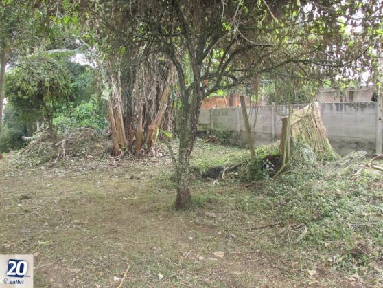 Terreno à venda em Taboao, Curitiba cod:42500.3439 - Foto 17
