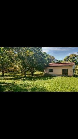 Sítio na BR 135 próximo a Bacabeira