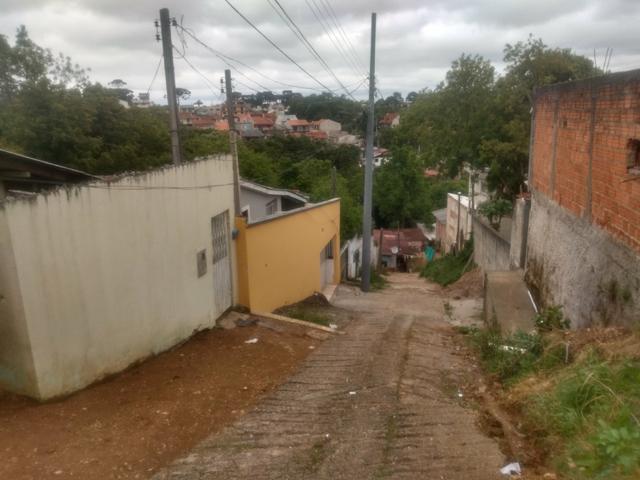 Terre Bairro Abranches - Foto 4