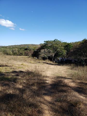 Propriedade de 98 hectares em Luziânia - Foto 11