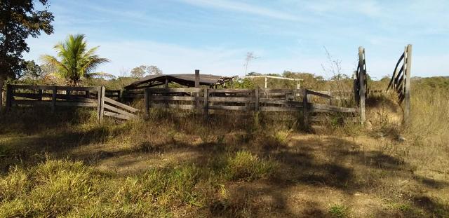 Propriedade de 98 hectares em Luziânia - Foto 8