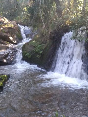 Alugo sitio boca da mata - Foto 11
