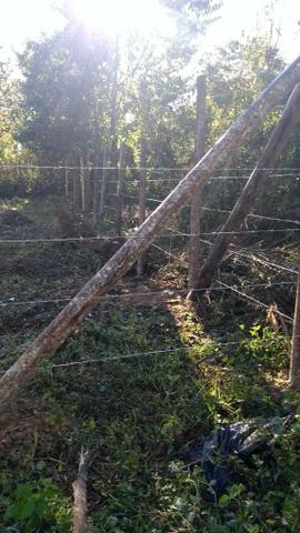 Terreno 250 m - Foto 3