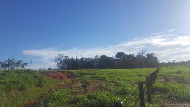 Fazenda com 280 hectares em Rorainópolis, ler descrição do anuncio - Foto 12