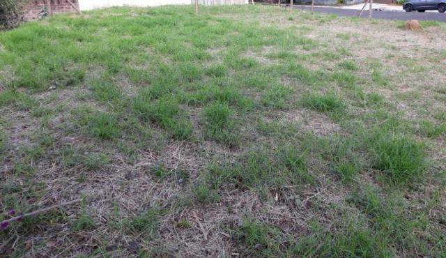 Terreno plano de barbada bairro guarani - Foto 4