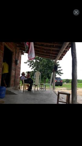 Fazenda em forquilha 130 hectares - Foto 11