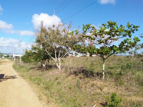 Terreno para venda no bairro luiz gonzaga em caruaru.
