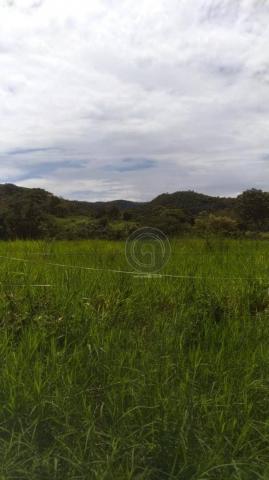 Sítio 20 ha região baú da guia mt - Foto 4