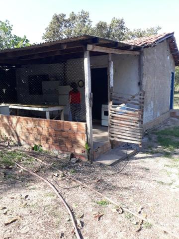 Chácara - Foto 5