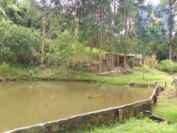 Chácara em Mandirituba - 12100 m² por R$ 210.000 - Zona Rural - Mandirituba/PR - Foto 16