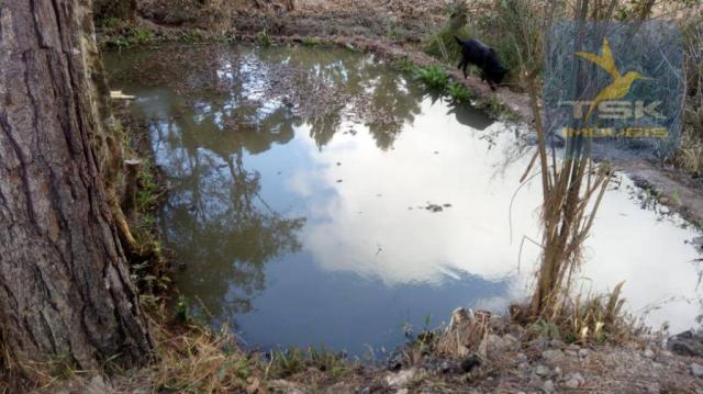 Chácara Rural/Comercial 1.500 m² Mandirituba frente estrada - Foto 15