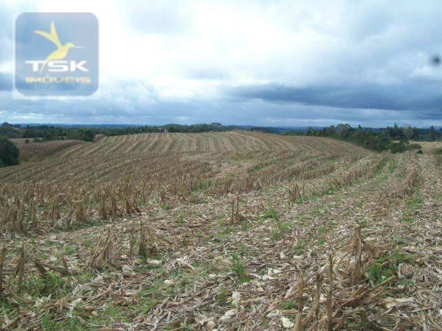 Fazenda em Quitandinha - (Cerrinho) - - Foto 17