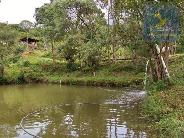 Chácara em Mandirituba - 12100 m² por R$ 210.000 - Zona Rural - Mandirituba/PR - Foto 11