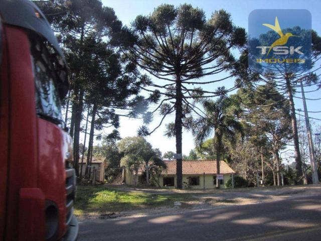 CH0252 - Agudos do Sul Chácara 10.000 m² frente asfalto 2 km da cidade - Foto 2