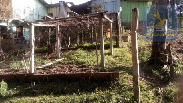 Chácara Rural/Comercial 1.500 m² Mandirituba frente estrada - Foto 11