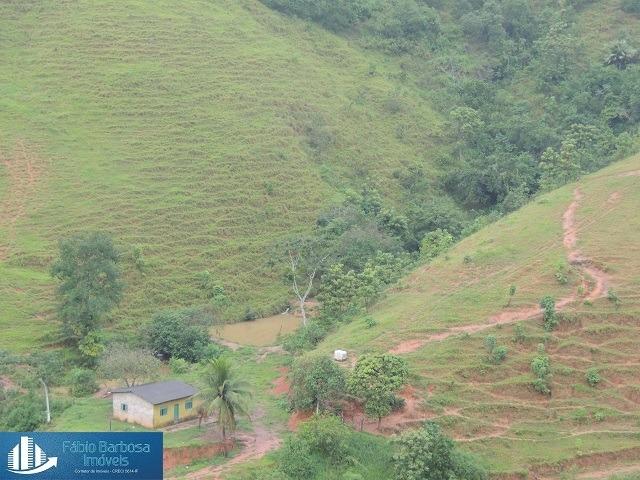 Fazenda 32,29 alq. de $ 3.571.331,05 por 2.500.000,00 - Peixe Verde - Viana - Foto 5