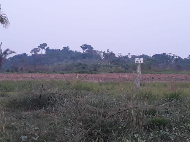 Terreno 13 mil - Foto 6