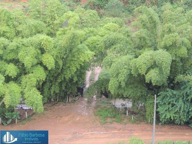Fazenda 32,29 alq. de $ 3.571.331,05 por 2.500.000,00 - Peixe Verde - Viana - Foto 4