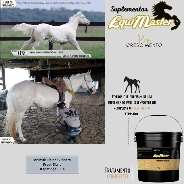 equimaster suplemento para cavalos