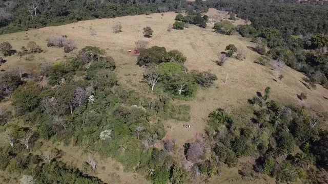 50 hectares a 25 Km de Campo Grande - Foto 10