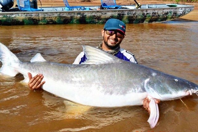 Casa temporada em Luiz Alves No Rio Araguaia - Foto 8