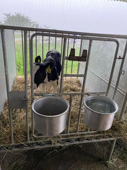 Resfriador de leite, odenhadeiras, Câmara fria, canzil, cama freestall - Foto 2