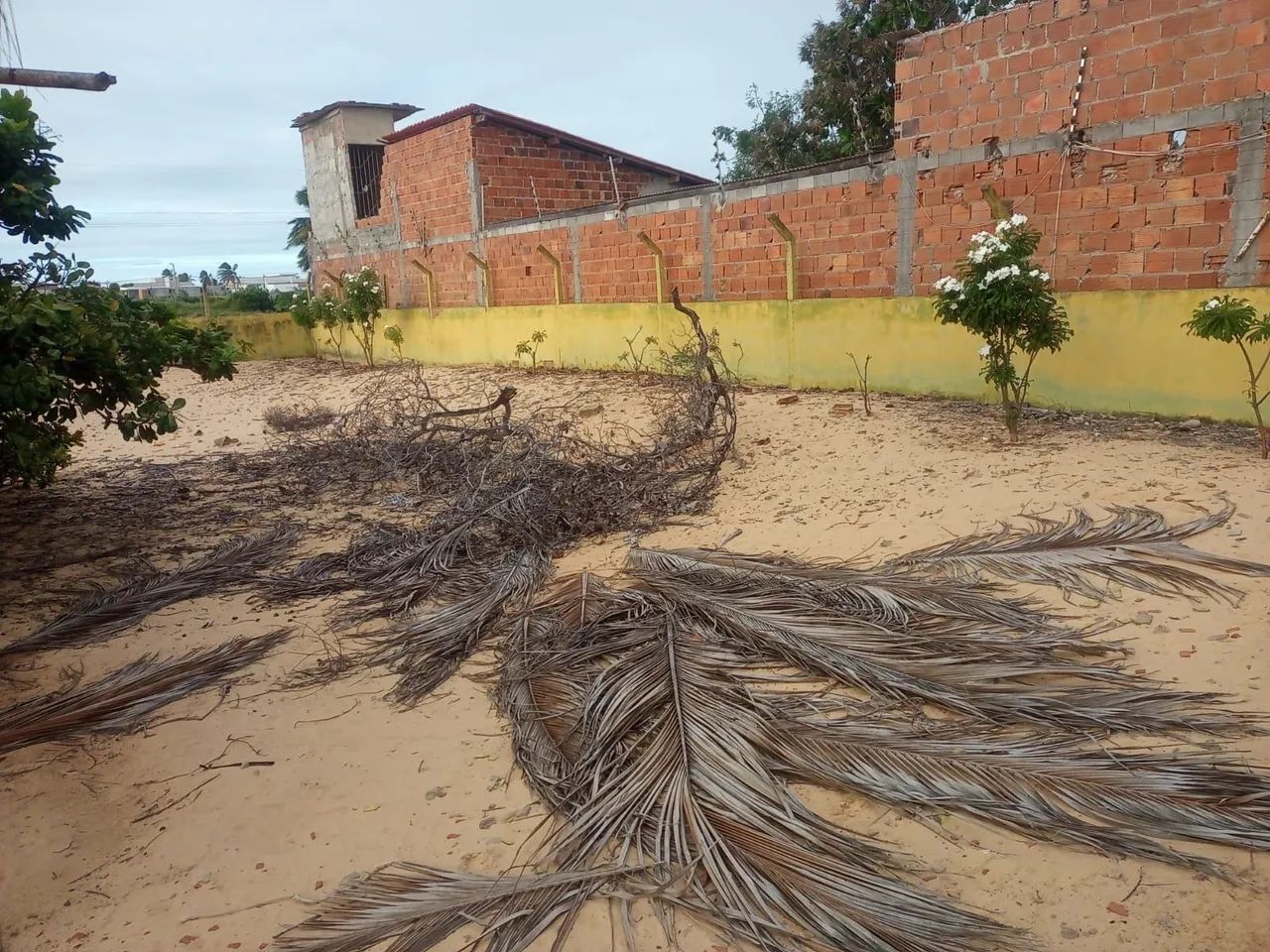 foto - Barra Dos Coqueiros - 