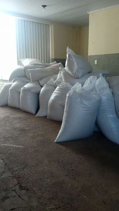 Procuro sócio ou investidor urgente  - Foto 5