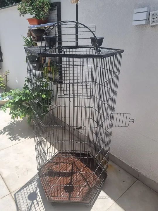 Viveiro grande,  - Foto 2