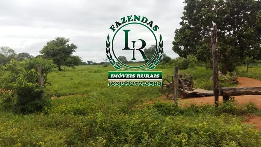 Fazenda 292 Alqueires Dupla Aptidão - Foto 4