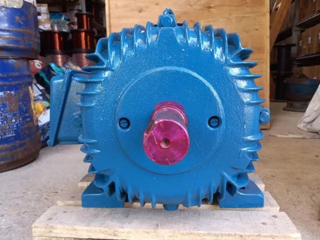 MOTOR ELÉTRICO WEG  W21 - 30CV - Foto 4
