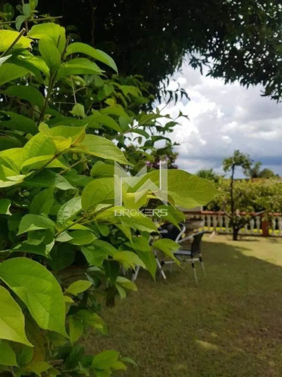 Chácara à venda no Pinheirinho em Vinhedo/SP - Foto 3