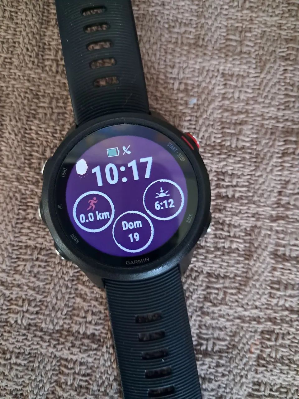 Garmin Forerunner 245 Music Smartwatches Setor Central (Gama