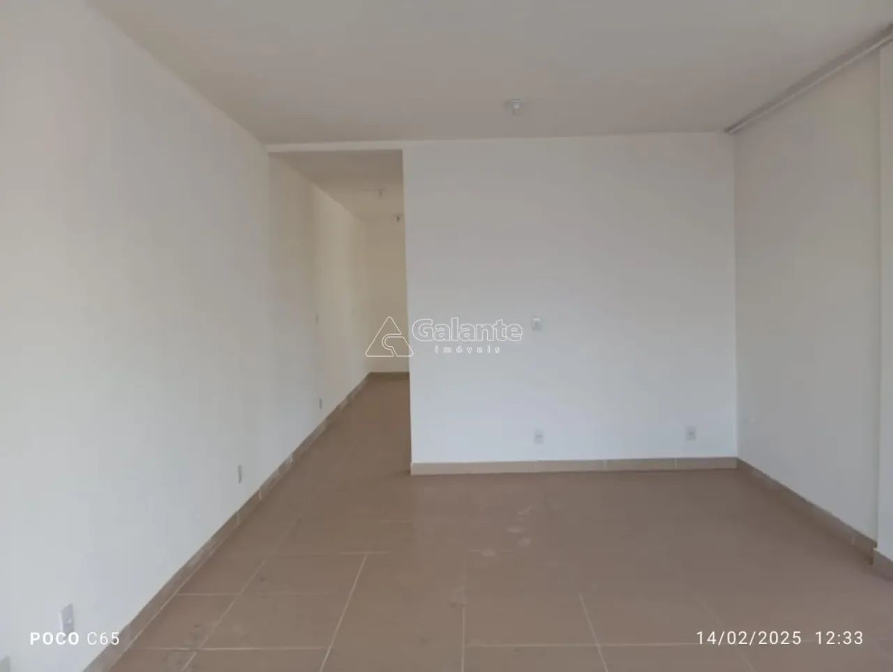 sala - Centro - Campinas - Foto 11