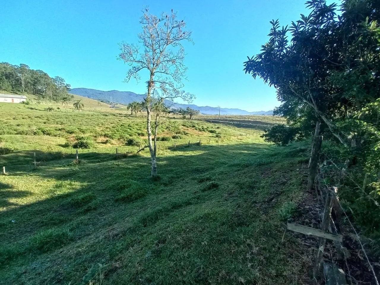 Sitio chacara 2 mil m2 fazendinha Biguacu - Foto 2