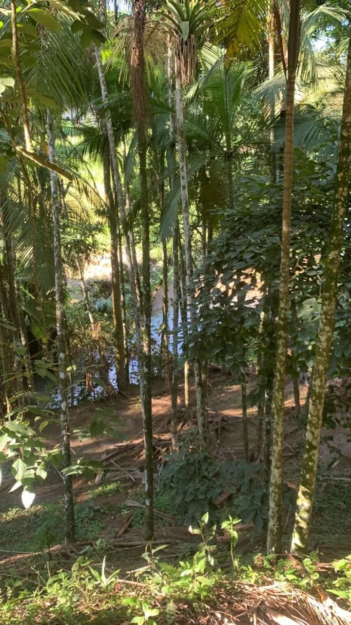 Sítio com 18 mil m2 em Timbó - Santa Catarina - prox. da zona turística do Morro Azul - Foto 4