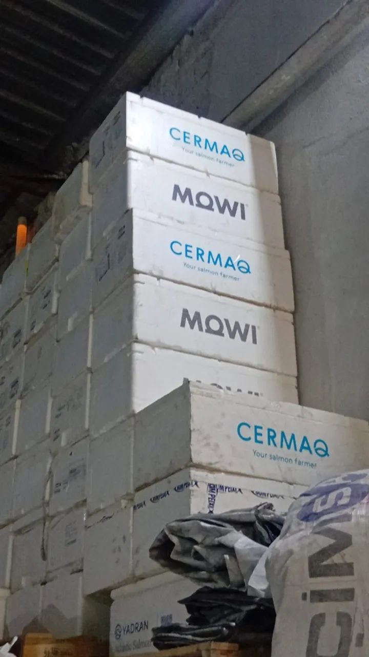 CAIXA DE ISOPOR (EPS térmica) -18