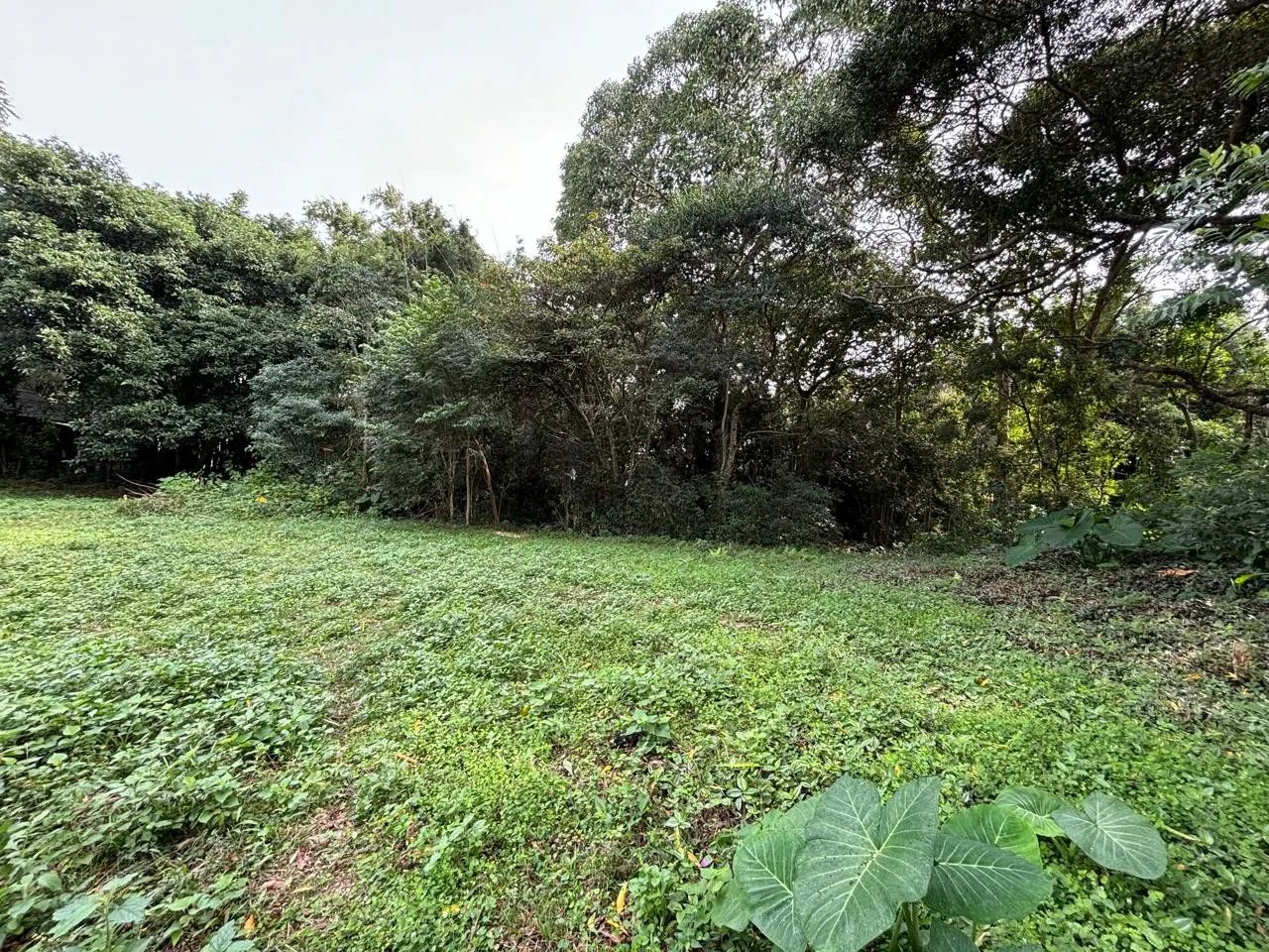 Terreno para Venda em Imbituba, IBIRAQUERA - Foto 3