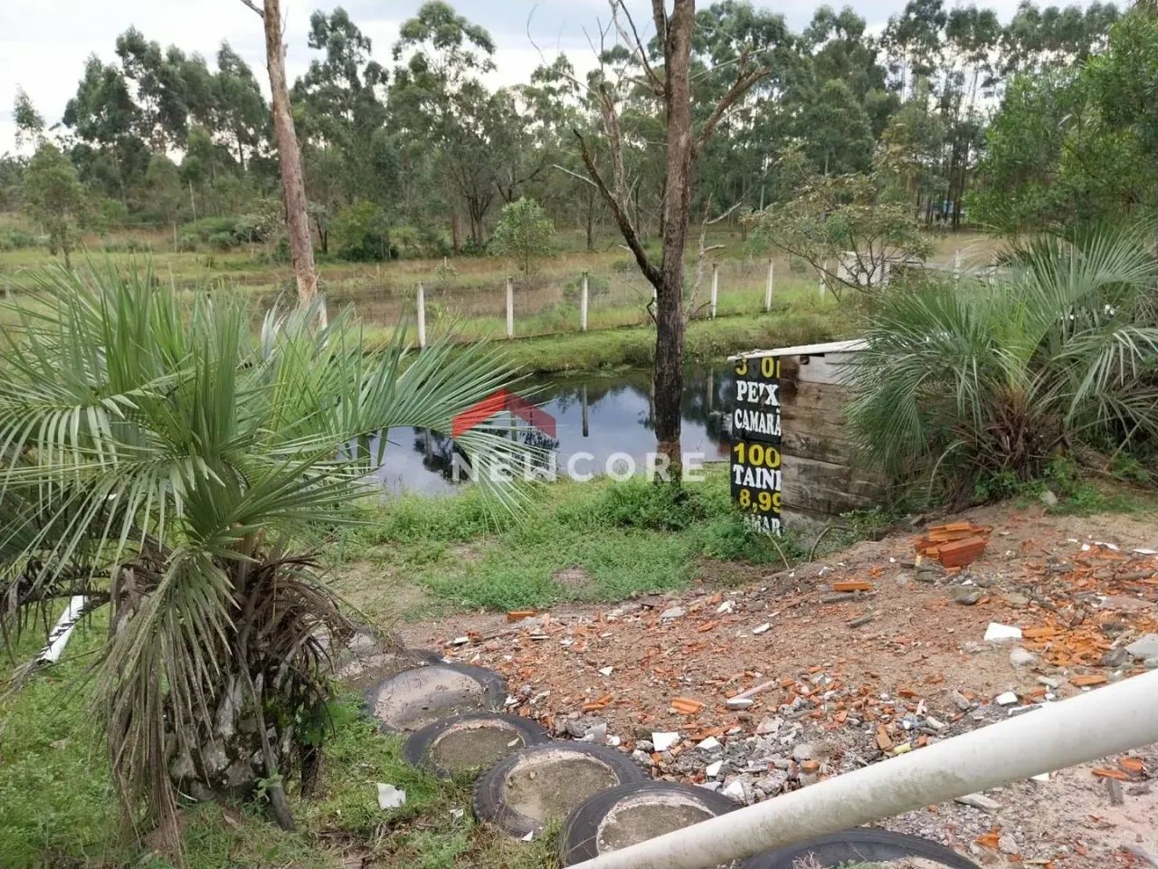 Sítio em Rua Jaime Rodrigues - Praia do Sol - Laguna/SC - Foto 6