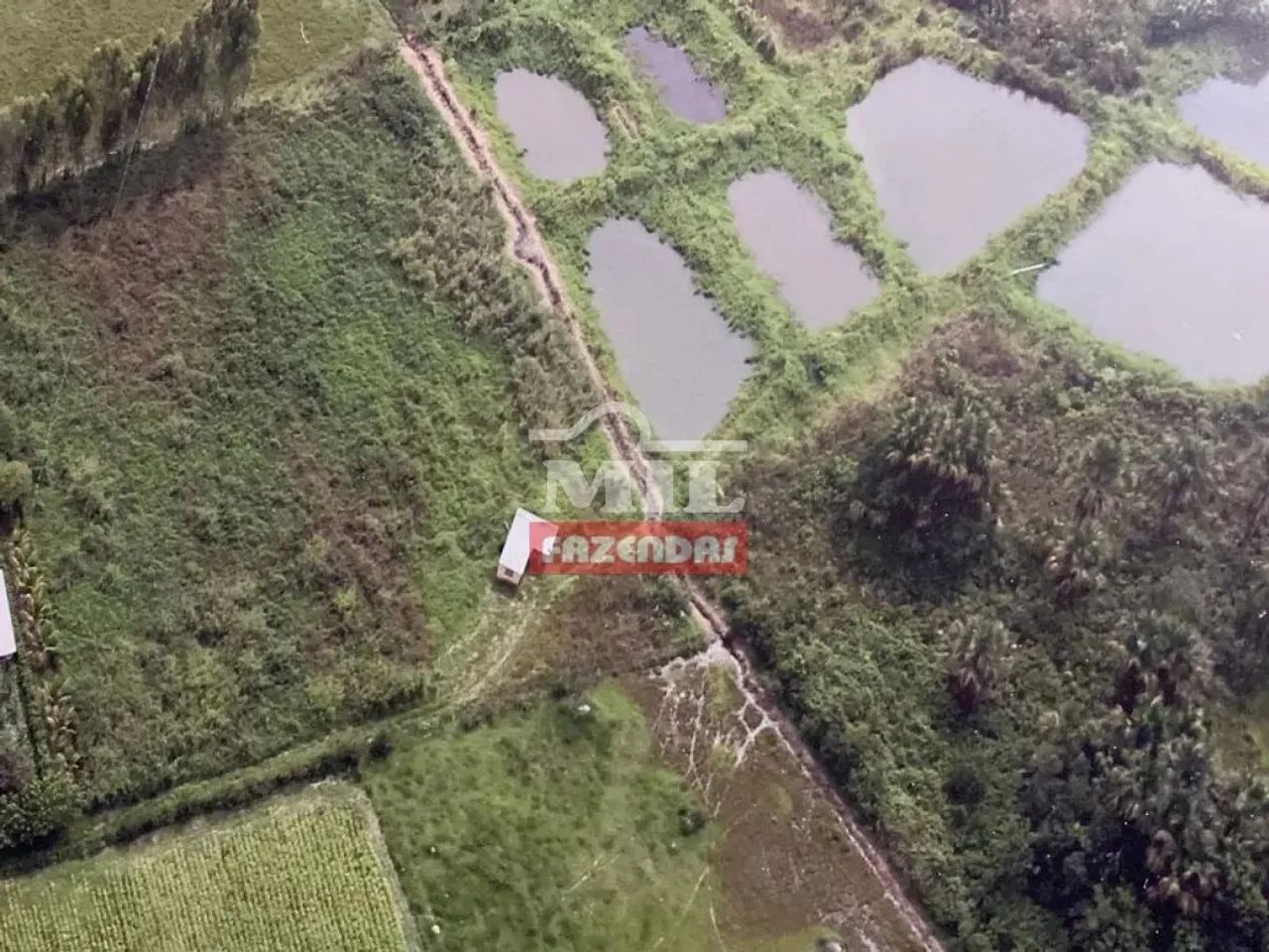 Chacara 4,3 hectares Hidrolandia - GO - Foto 4