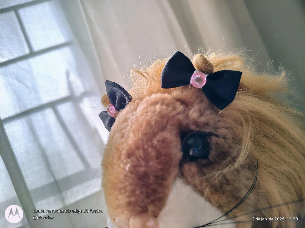 Lacinho Pet - Foto 5